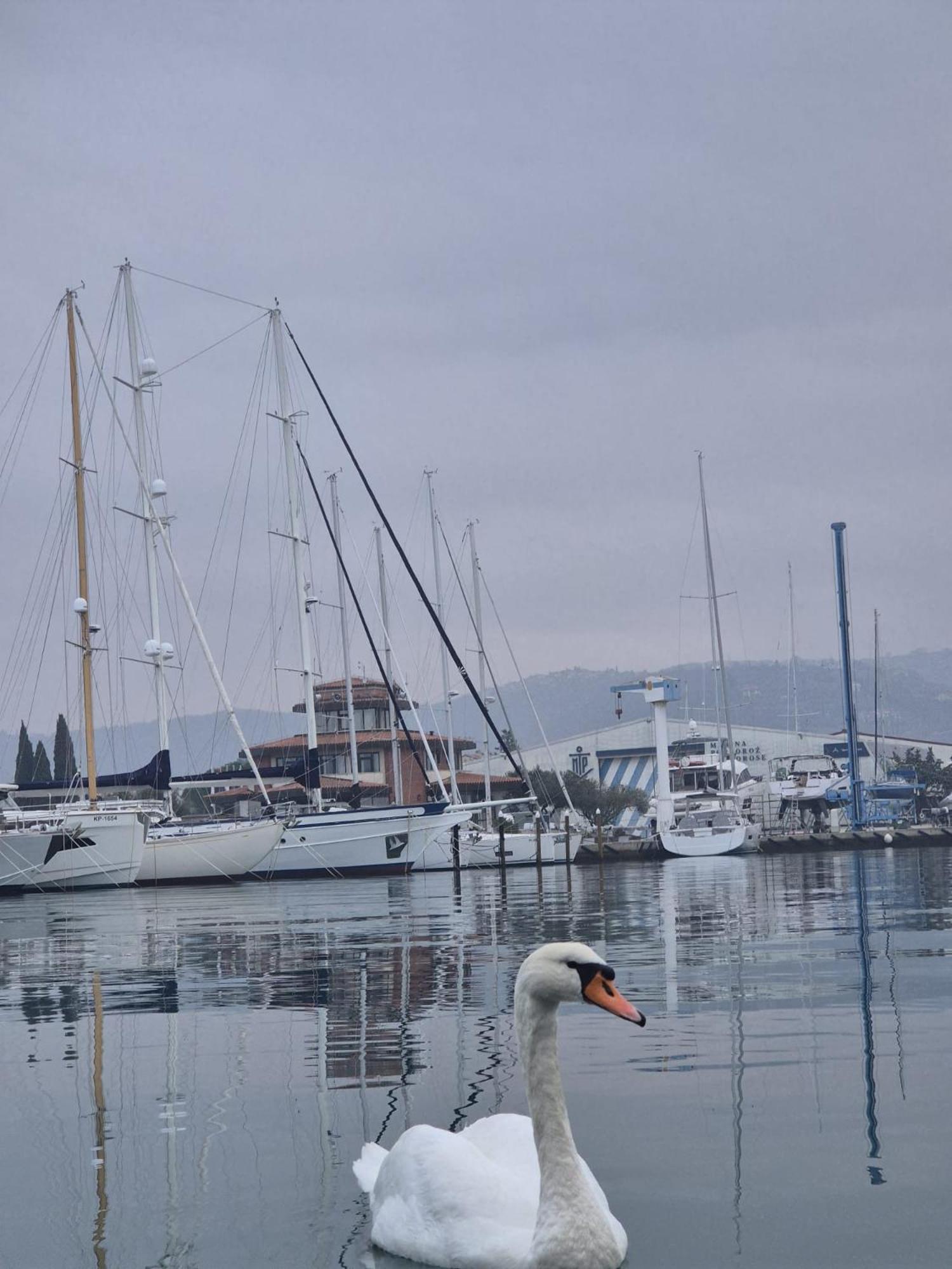 Floating Sea House Aurora Villa Portorož Eksteriør billede